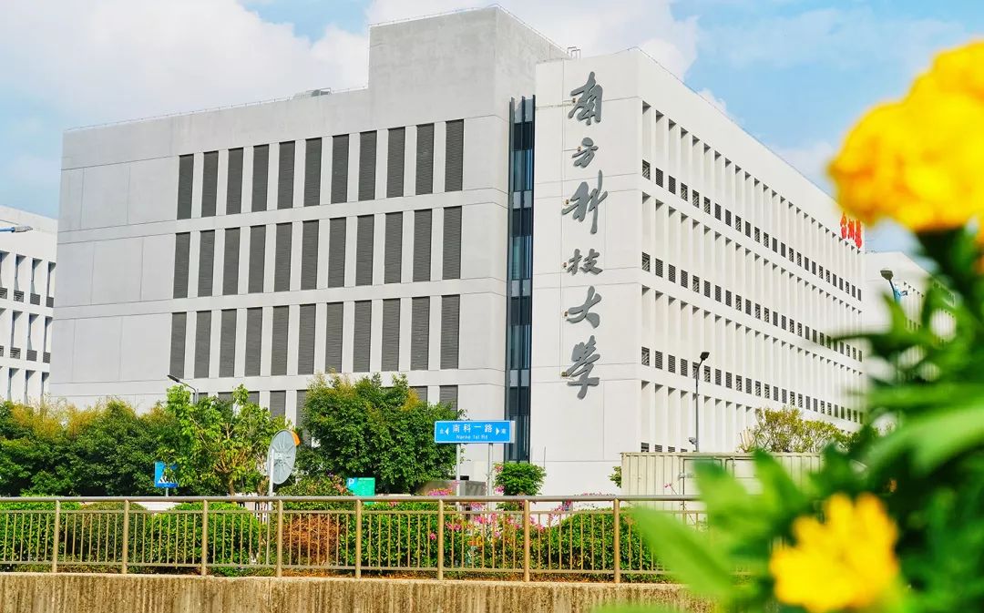 2022年南方科技大学综合评价报名材料